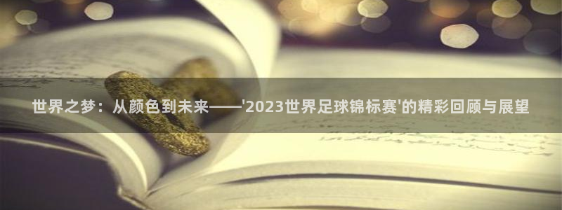 2026年男足世界杯:世界之梦:从颜色到未来——\'2023世界足球锦标赛\'的精彩回顾与展望