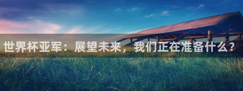 2026世界杯直播:世界杯亚军:展望未来,我们正在准备什么?