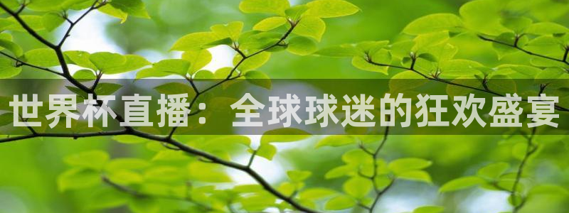 世界杯比赛直播:世界杯直播:全球球迷的狂欢盛宴