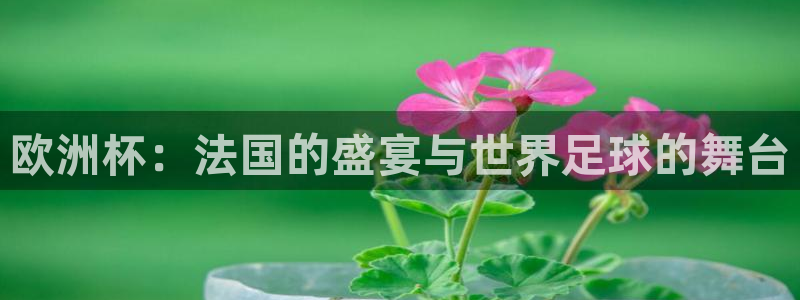 足球世界杯2026:欧洲杯:法国的盛宴与世界足球的舞台